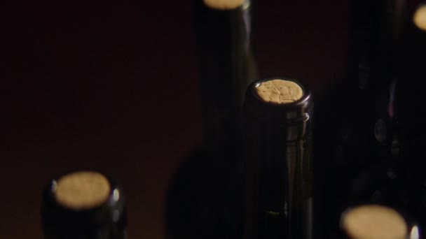 Botellas Vino Sin Abrir Agrupadas Una Bodega Iluminadas Por Luces — Vídeo de stock