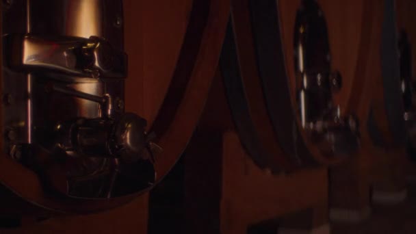 Close Wooden Wine Barrels Row Glowing Lights Reflecting Metallic Taps — Stock Video