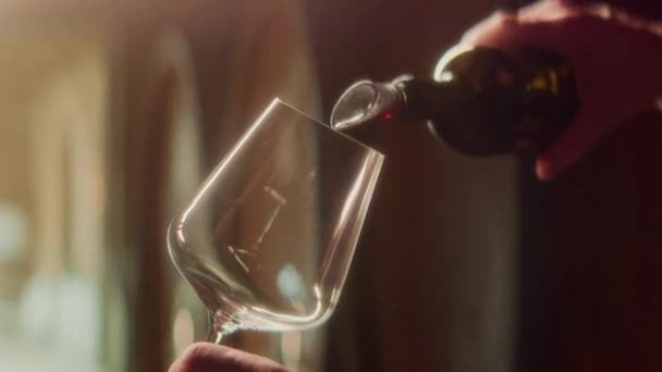Крупным Планом Видно Красное Вино Вытекающее Бутылки Бокал Размытыми Бочками — стоковое видео