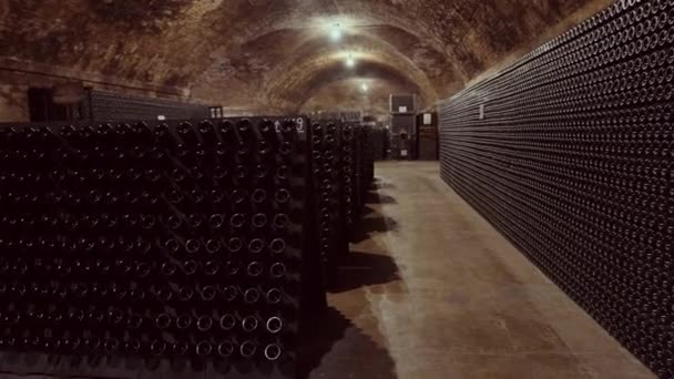Тускло Освещенный Подземный Винный Погреб Многочисленными Бутылками Хранящимися Стойках — стоковое видео