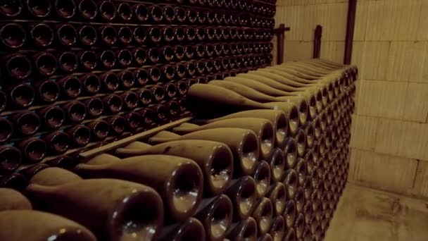 Çok Sayıda Toz Kaplı Şarap Şişesi Loş Işıklı Bir Mahzende — Stok video