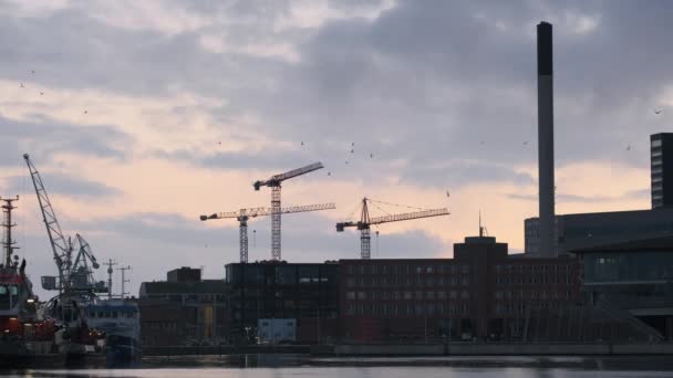 Skyline Aarhus Harbour Dominated Large Cranes Buildings Several Birds Flying — Stock Video