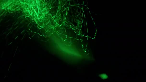 Чарівна Захоплююча Природа Зелених Світлових Стежок Чорному Тлі — стокове відео