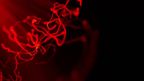Красочные Световые Полосы Захватывающие Динамическую Энергию Текучесть Вихревых Оттенков Темном — стоковое видео