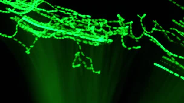 Розмитий Рух Темно Зелених Точок Світла Захоплює Динамічні Вологі Відтінки — стокове відео