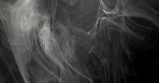 Abstract Depiction Smoke Rendered Monochrome Dark Backdrop Smoke Weaves Complex — Stock Video