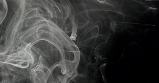 黒い背景に白い煙道の抽象的なパターンのクローズアップ 煙は流動的で渦巻く動きを持ち 複雑で繊細な形を作り出しています — ストック動画