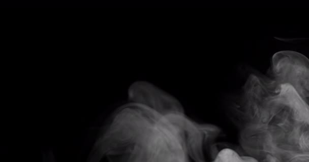 Vastag Fehér Füst Világítja Meg Fekete Háttér Ahogy Lassan Emelkedik — Stock videók