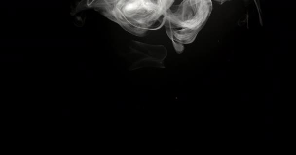 Close Shot Captures Graceful Movement Smoke Dark Background Creating Visually — Stock Video