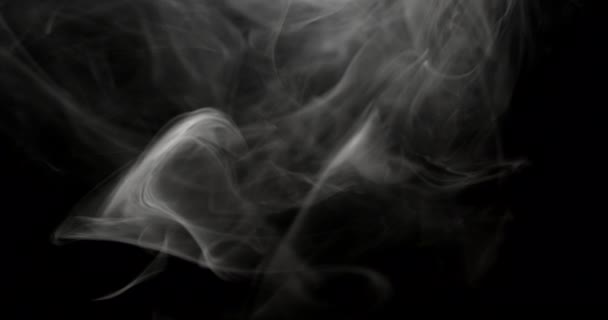 Мерцание Белого Дыма Движется Черном Фоне Огни Выделяют Сложные Формы — стоковое видео