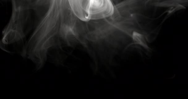 Swirling White Smoke Appears Spreads Top Black Background Its Edges — Stock Video
