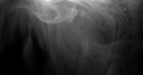 Helles Licht Erhellt Wirbelnde Rauchspuren Vor Schwarzem Hintergrund Und Schafft — Stockvideo