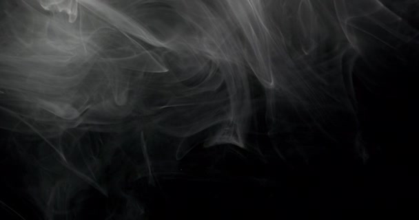 Wisps Smoke Appear Top Black Background Swirling Motion Illuminated Light — Stock Video