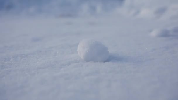 Enda Välformad Snöboll Vilar Yta Täckt Med Färsk Ostörd Snö — Stockvideo