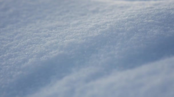 Nahaufnahme Einer Schneebedeckten Oberfläche Mit Fein Körniger Textur — Stockvideo