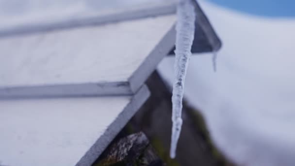 Eine Nahaufnahme Einer Eiszapfe Die Von Der Kante Eines Schneebedeckten — Stockvideo