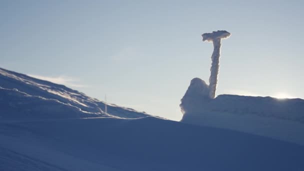 灿烂的阳光照亮了宁静的雪景 在雪地表面形成了光影的美丽对比 — 图库视频影像