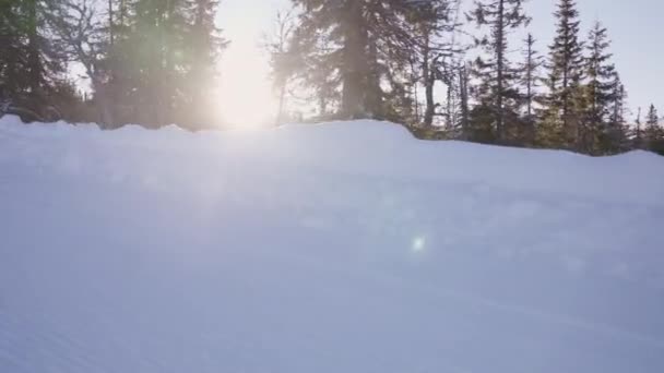 Una Toma Pov Las Laderas Cubiertas Nieve Bosque Con Sol — Vídeos de Stock