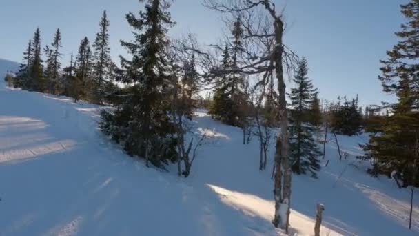Een Prachtig Besneeuwd Landschap Badend Warme Gloed Van Zon Die — Stockvideo