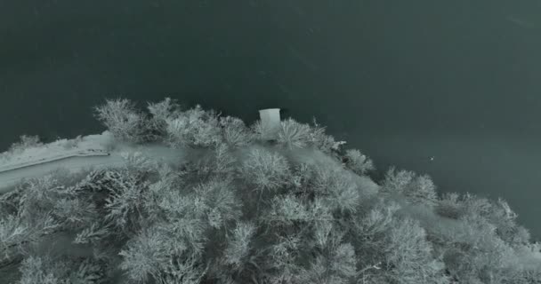 Nad Głową Strzał Drona Powoli Schodzącego Linii Brzegowej Sosnowego Lasu — Wideo stockowe