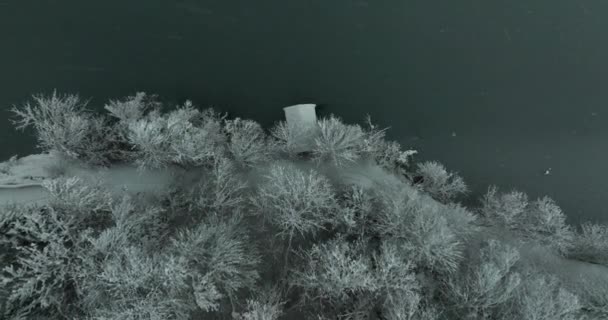 Вид Зверху Безпілотника Повільно Піднімається Снігової Берегової Лінії Соснового Лісу — стокове відео