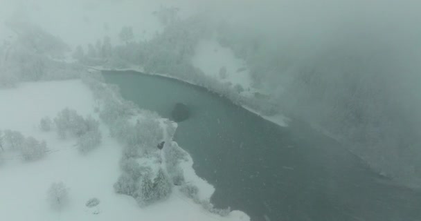 ドローンからの航空映像は雪に覆われた霧の森に囲まれた凍った湖の上の雪を示しています ロイヤリティフリーストック映像