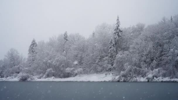 Klidný Zasněžený Les Zamrzlé Jezero Atmosféra Plná Padajících Sněhových Vloček — Stock video