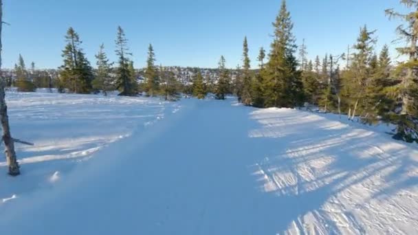 雪の斜面を通り抜けるスノーボーダーベンチャー — ストック動画