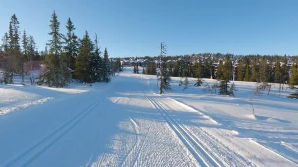 越野车滑雪板探险穿越壮丽的松树林 远处是迷人的滑雪场 — 图库视频影像