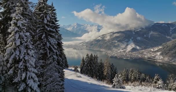 雪山を捉えたドローンと 穏やかな湖を包む緑豊かな松林 — ストック動画