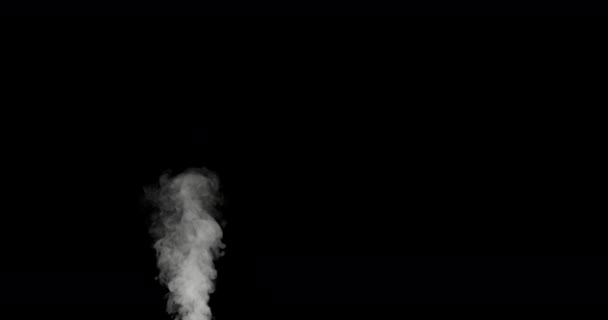 Thick Plume White Smoke Rises Slowly Black Background Gradually Dispersing — Video