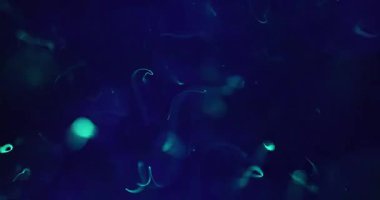 Mesmerizing blue and violet particles collide and dance in a dynamic whirl