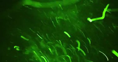 Vibrant green particles dance in a dynamic display of energy and motion, creating an immersive visual spectacle