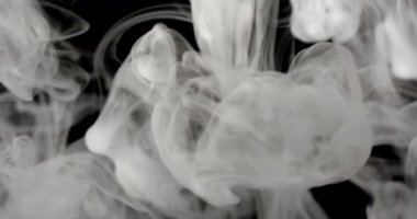 Siyah arkaplandan yoğun beyaz duman yükseliyor, parlak ışık altında yayılıp dağıldıkça hassas şekiller ve desenler yaratıyor.