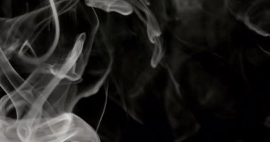 Karanlık arka planda dinamik ve akışkan bir duman deseni yükselir. Duman ince ve narin görünüyor, ince dalları ve geniş tüyleri iç içe geçiyor.