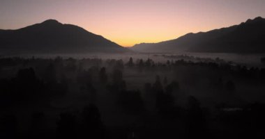 Gün doğmadan önce sakin bir manzarayı resmeden sisli dağların ve sakin bir ormanın üzerinde şafak yavaşça doğar.