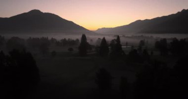 Yumuşak bir sis, arka planda görkemli dağ siluetleri olan bir ağaç tarlasını örtüyor ve sakin ve atmosferik bir manzara yaratıyor.