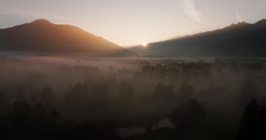 Siluetli dağlar, gün doğumunda sisli bir ormanın ortasında yükselir, ruhani gölgeler ve dingin sabah renkleri bırakır.