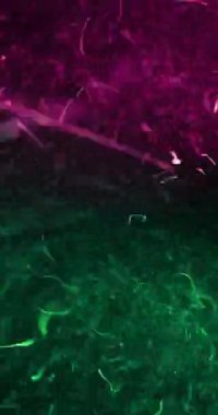 Magenta ve yeşil parçacıklar ekran boyunca hızlı bir hareketle, dinamik bir yatay bölünmeyle ayrılır.