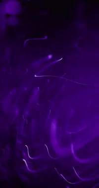 Büyüleyici mor parçacıklar karanlık bir arkaplanda dönerek büyüleyici ve dinamik bir görsel ekran oluştururlar.