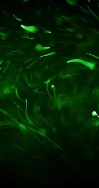 Yeşil atomlar hızla dönen karanlık bir zemin üzerinde canlı bir şekilde moleküllerin dinamik hareketini tasvir ederek görsel olarak büyüleyici bir bileşim oluştururlar..