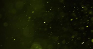 Parlak sarı Bokeh ışıklarının ve titreyen parçacıkların büyüleyici bir karışımı, siyah arka plana karşı büyüleyici bir görsel ortam yaratıyor.