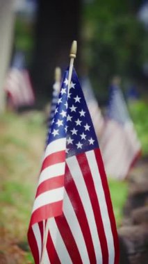 Yeşil çimlerde belirgin bir şekilde sergilenen bir Amerikan bayrağının yakın çekimi, arka planda ek bayraklar bulanık