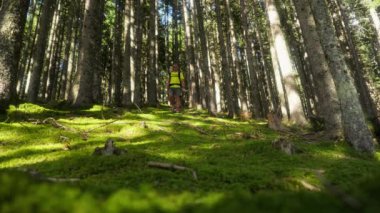 Bir adam yosunlu bir patika boyunca yürüyor, yüksek orman ağaçlarıyla çevrili, yemyeşil manzaralı sakin ve resimsel bir zemin oluşturuyor.