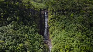 İnsansız hava aracından çarpıcı bir hava manzarası, dağ yamacını saran yoğun yeşilliklerle çevrili kayalık bir uçurumdan çağlayan bir şelaleyi yakalar.