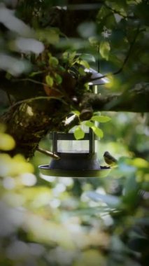 A Great Tit perches on the edge of a bird feeder before flying away, set against a backdrop of lush green foliage with soft light filtering through the leaves