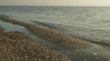 Yumuşak dalgalar kumlu kıyıya vuruyor, rahatlatıcı ve sakin bir plaj sahnesi yaratıyor su yavaşça kumla buluşurken