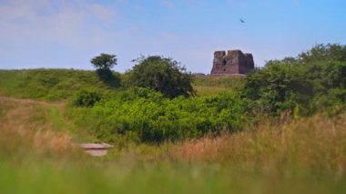 Yıkıntılı bir şatonun manzarası yemyeşil bir zemin üzerine kurulmuş, uzun otlar ve ön planda yabani bitkiler, harabeler ise taş duvarların kalıntılarını barındırıyor.