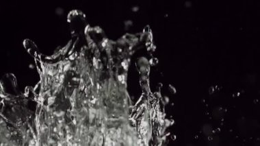 Büyüleyici yavaşlayan kristal berrak su sıçramaları siyah zemin üzerinde her damlacığın zarafetini ve karmaşık hareketini sergiliyor.