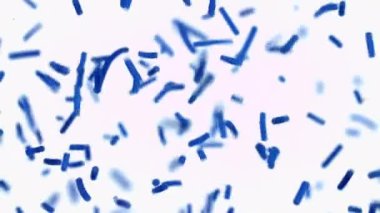 Büyüleyici mavi çubuk şekilli serpintiler parlak beyaz bir arkaplanda zarif bir şekilde süzülür, canlı ve oyuncu bir görsel ekran yaratır.